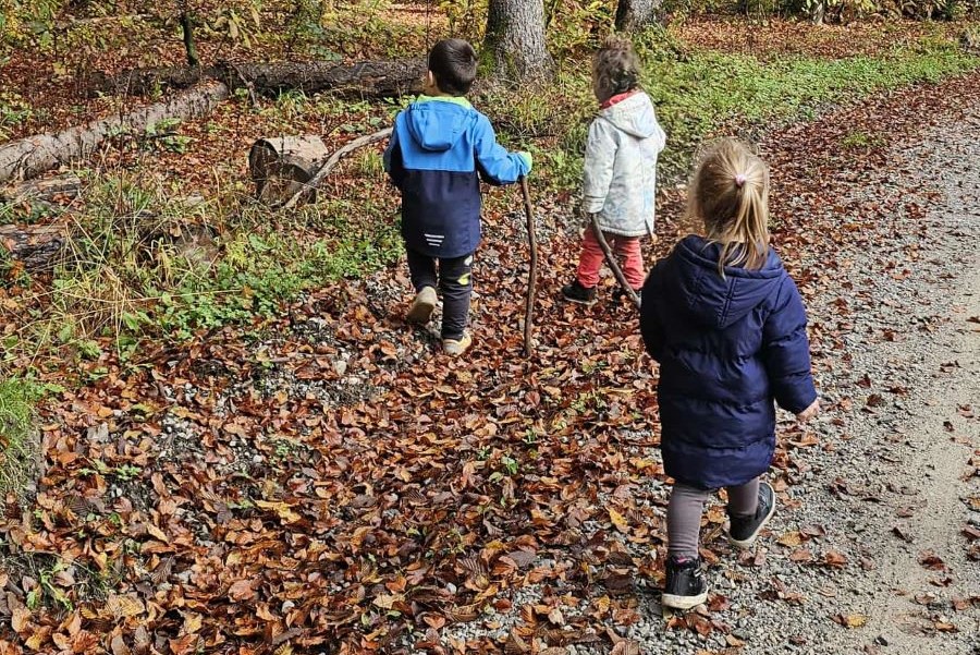 Jesenski obisk gozda