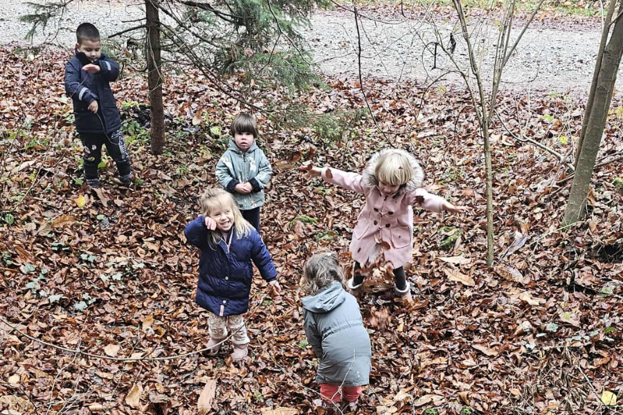 Zakaj je gozdno listje ZAKLADNICA za učenje in razvoj otrok?