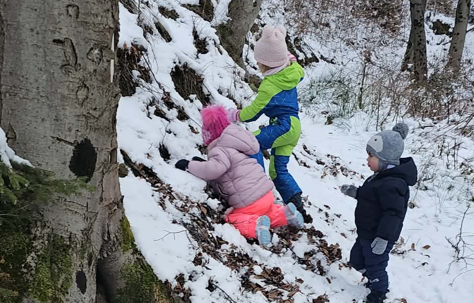 Ribice na snežni pustolovščini!