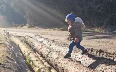 Čista otroška radost v gozdu